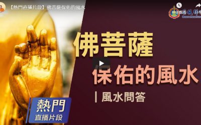 「金菩提 」評價風水,金菩提網友問答-如何有好風水