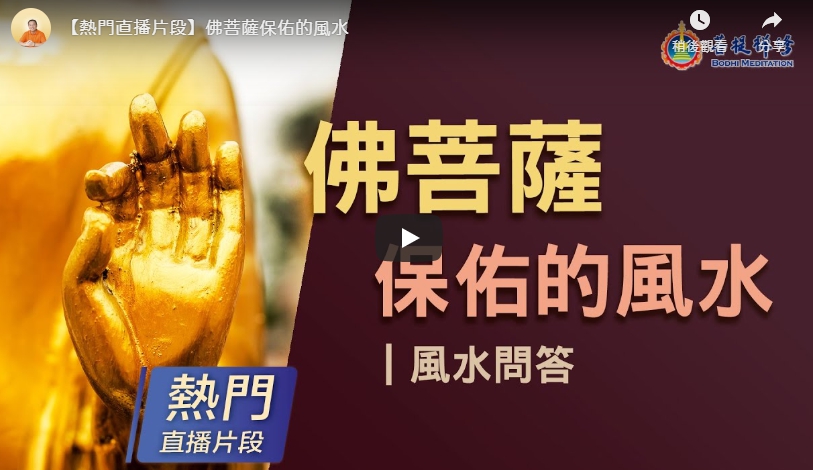 金菩提,金菩提宗師,金菩提宗師評價,金菩提設計,金菩提典藏,金菩提禪畫,金菩提畫作,金菩提商品,金菩提法寶,金菩提禪境,金菩提宗師養生,金菩提宗師禪修,金菩提宗師評價家庭關係,金菩提宗師評價命運,金菩提宗師評價健康,金菩提宗師評價人生道理